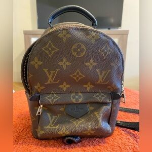 Louis Vuitton Palm Springs Mini backpack